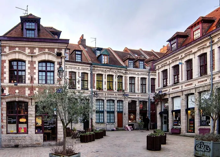 Atypical Flat In The Centre Of Lille. Lägenhet *
