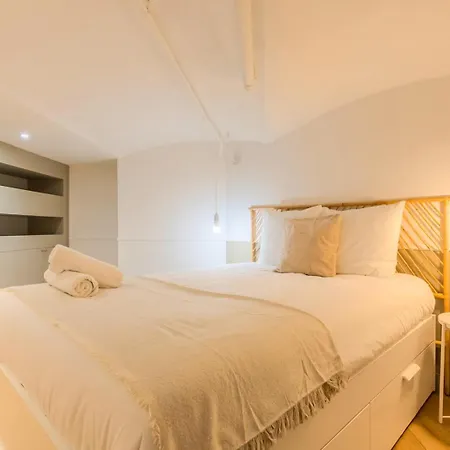 Atypical Flat In The Centre Of Lille. Apartamento *