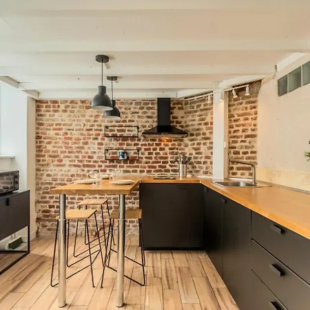 Atypical Flat In The Centre Of Lille. Apartment
