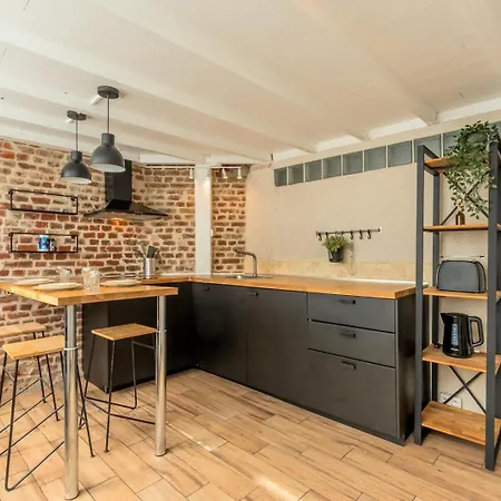 Atypical Flat In The Centre Of Lille. Lila