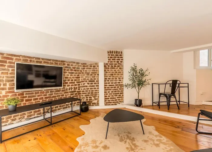 Atypical Flat In The Centre Of Lille.