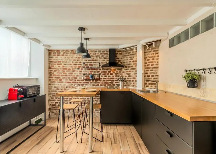 Atypical Flat In The Centre Of Lille. Apartment