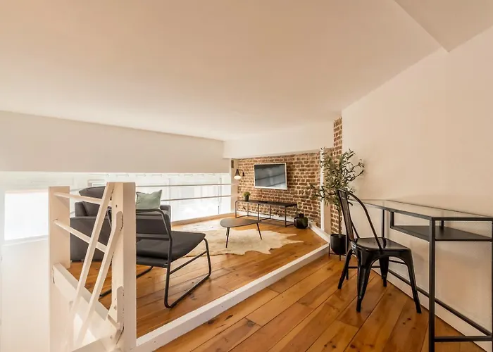 Atypical Flat In The Centre Of Lille. *