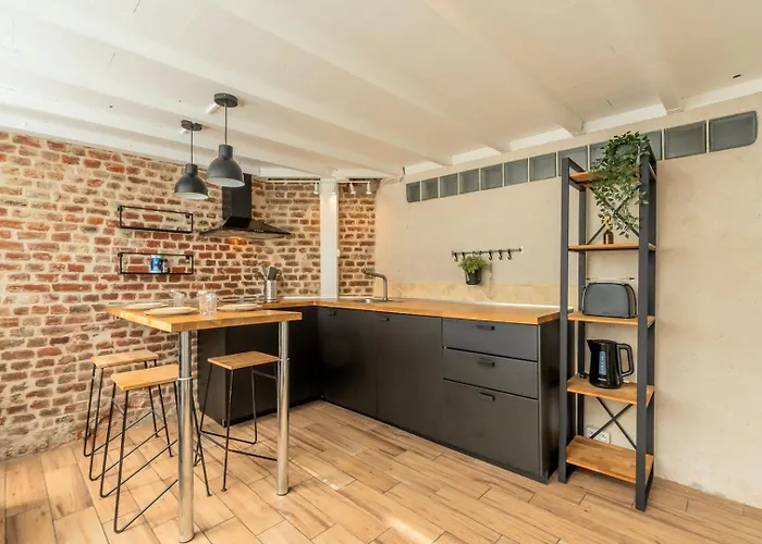 Atypical Flat In The Centre Of Lille. Lille